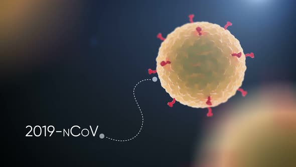 Visualisation of Corona Virus Covid-2019  in Microscope