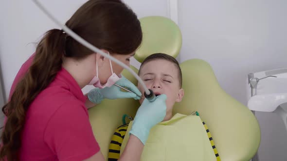 Female Dentist Making Professional Brushing Child's Teeth with a Dental Tools alt