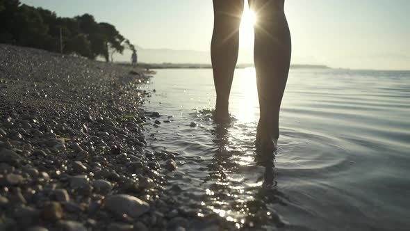 The Girl Walks Barefoot on the Beach at Dawn.