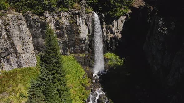 Pine Forests And Waterfall alt