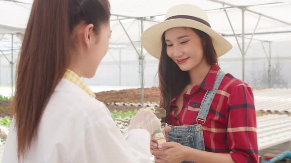 Asian scientist woman test solution chemical inspection soil in organic farm and show result.