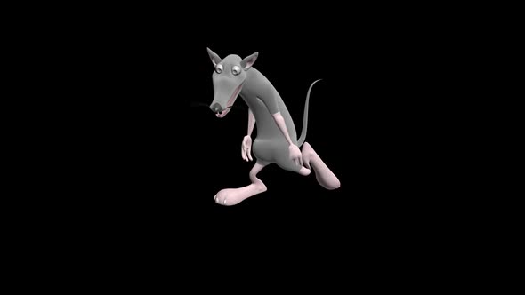 Dancing Mouse