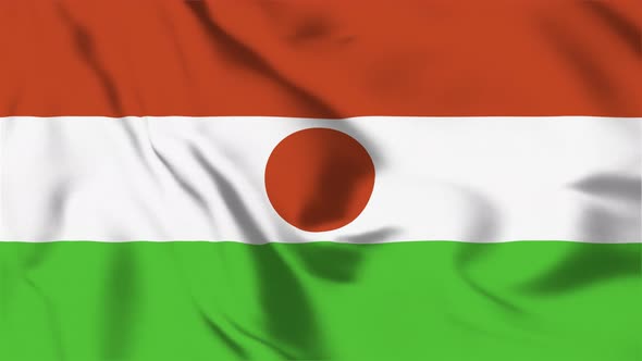 4K Niger Flag - Loopable