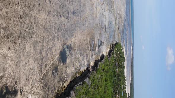 Vertical Video of Low Tide in the Ocean Near the Coast of Zanzibar Tanzania Aerial View alt