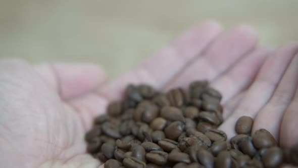 Roasted coffee beans in hands alt