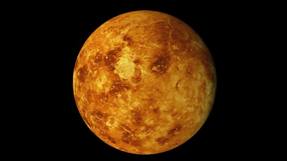 Venus, Motion Graphics | VideoHive