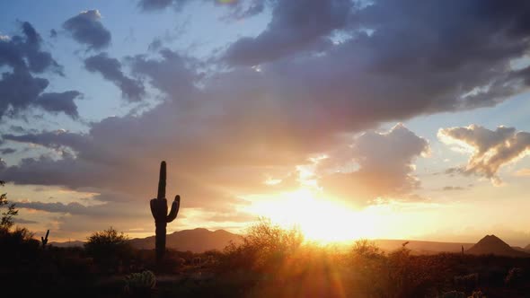 Glorious Desert Sunset with Saguaro Zoom In Time Lapse alt