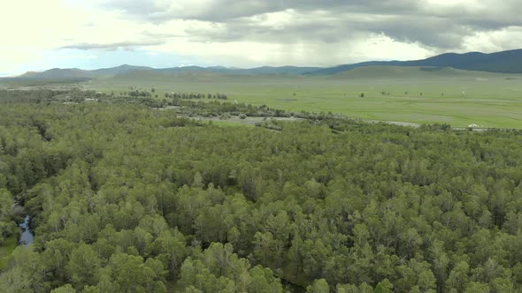 Trees, Forest and Vast Meadow in The Big River in Wide Valley of Asia Geography alt