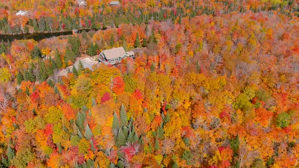 Aerial panoramic view of fall season foliage colors and secluded lake houses.