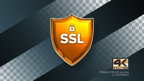 SSL Certificate Rotating Badge 4K Looping Design Element