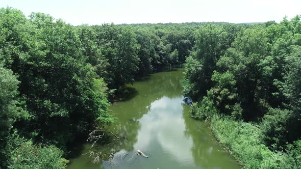 4K Aerial view of river and beautiful wild forest. alt