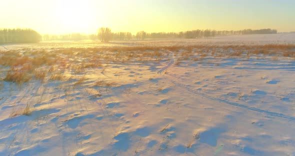 Aerial Drone View of Cold Winter Landscape with Arctic Field, Trees Covered with Frost Snow and alt
