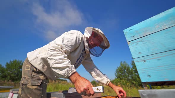Beekeeper against blue sky. Apiculturist in protective hat examining bees in summer.  alt