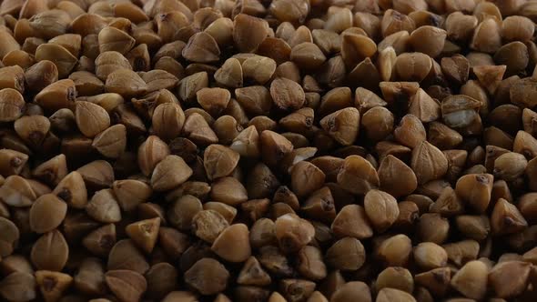 buckwheat. fresh buckwheat. dry buckwheat background. buckwheat texture alt