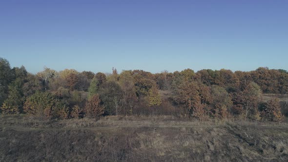 Launch Fpv Drone on the Field alt