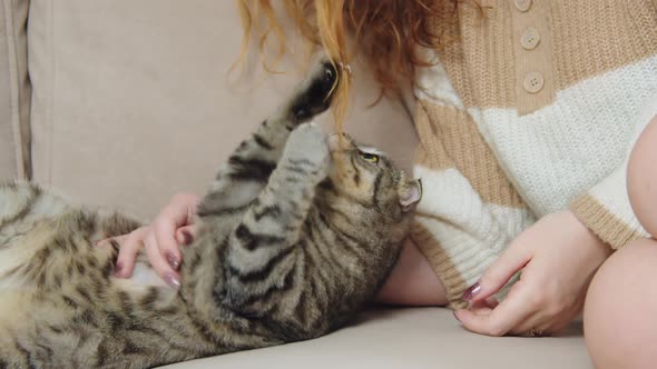 Cat Plays with Girl's Hair alt