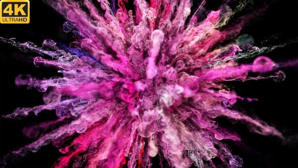 Magenta Powder Explosion