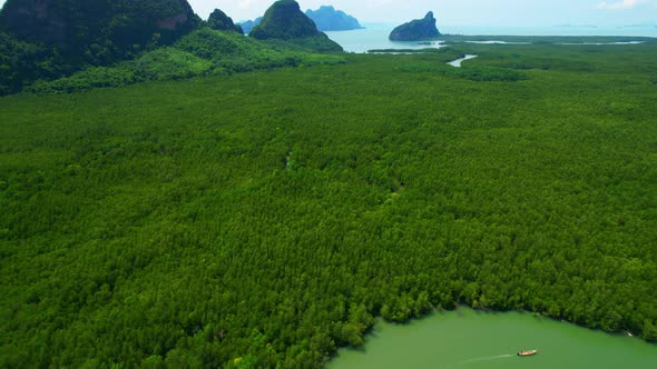 4K : Drone Flying over the mangrove forest at Phang Nga Bay alt