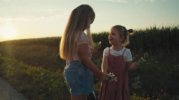 Two little caucasian girls spending time on village road and picking wildflowers. Shot with RED heli alt