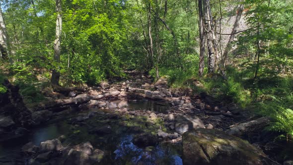 Flying Over Water Stream in Deciduous Forest