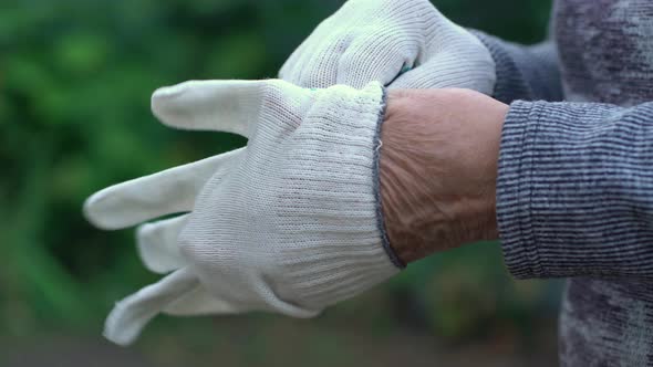 Elderly Woman Puts on Work Gloves for Gardening alt