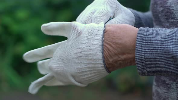 Elderly Woman Puts on Work Gloves for Gardening