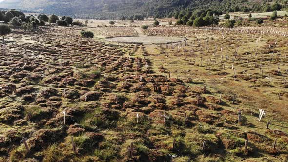 Sad Hill Cemetery in Spain. Aerial View alt