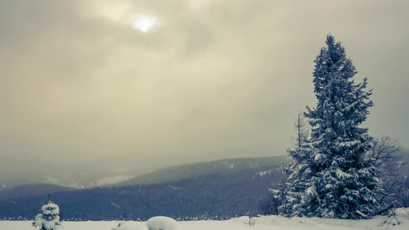 A Strong Winter Snowstorm alt