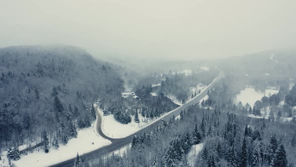 Foggy Winter Landscape - Drone Flying  4K - Mountains - Trees, rivers, snowy - Cinematic trees alt