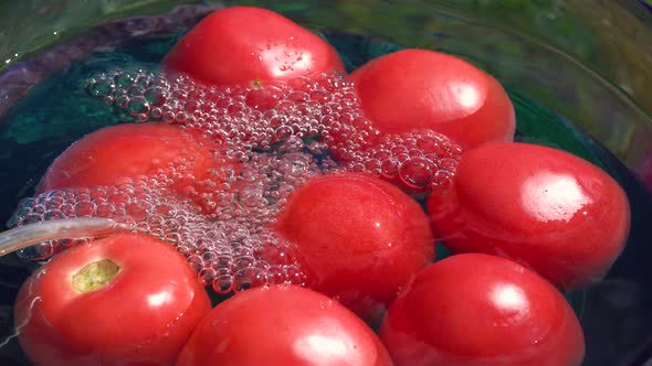 Tomatoes in the water into which ozone is injected for disinfection