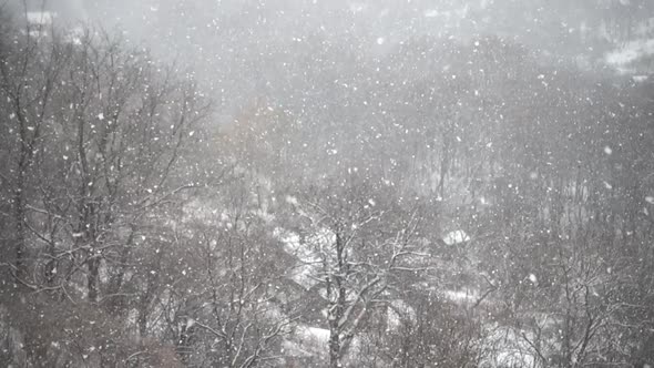 Falling upwards snowflakes during winter snowfall. Abstraction. Slow motion. alt