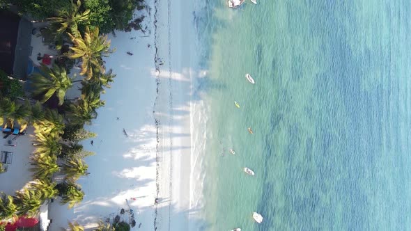 Vertical Video of the Coast of Zanzibar Island Tanzania Slow Motion alt