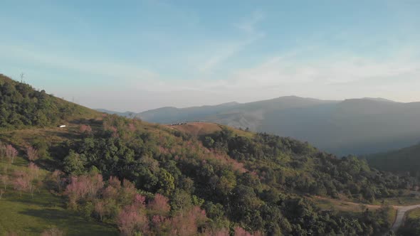 Aerial view of mountain, hills and flower blooming. scenic landscape