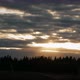 Time Lapse. Sun Setting Over the Forest. - VideoHive Item for Sale