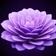 infinitely blooming flower. - VideoHive Item for Sale