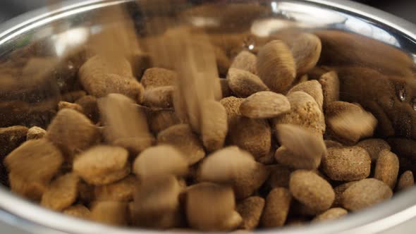 Pouring Dry Dog Food Into Metal Bowl Closeup alt