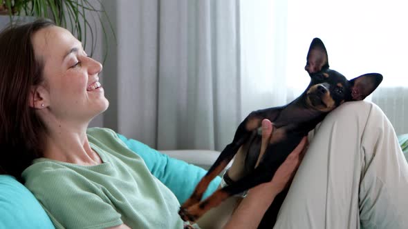 Woman Owner is Giving Massage to a Cute Dog Lie at Her Leg