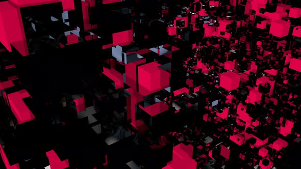 Bicolor Geometry 4K 03 alt