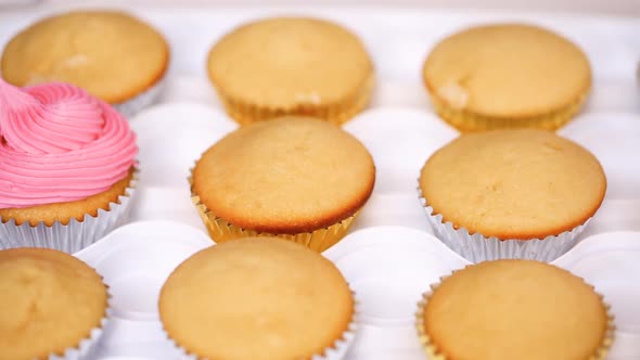 Step by step. Pastry chef piping butter cream frosting on unicorn cupcakes for little girl birthday  alt