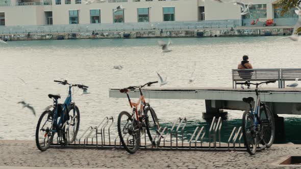 The Tourists Rest Surrounded By Seagulls in the Old Port of the City of Barcelona alt