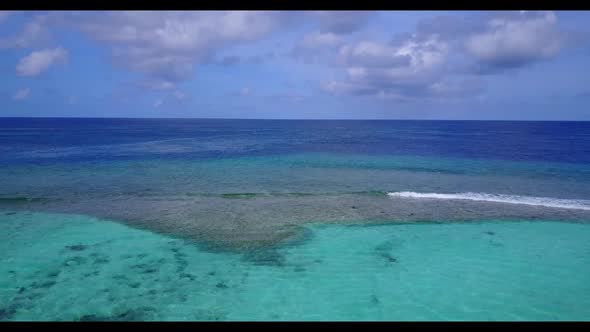 Aerial drone panorama of luxury tourist beach wildlife by aqua blue water and white sandy background alt