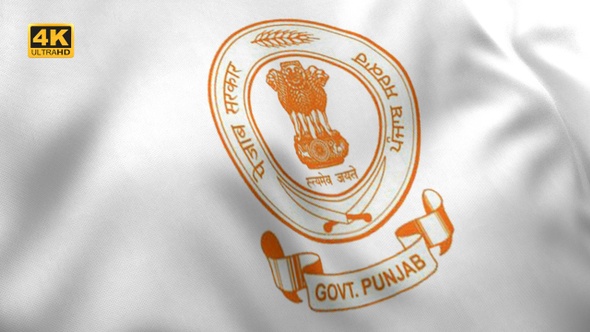 Punjab Flag (India) - 4K alt