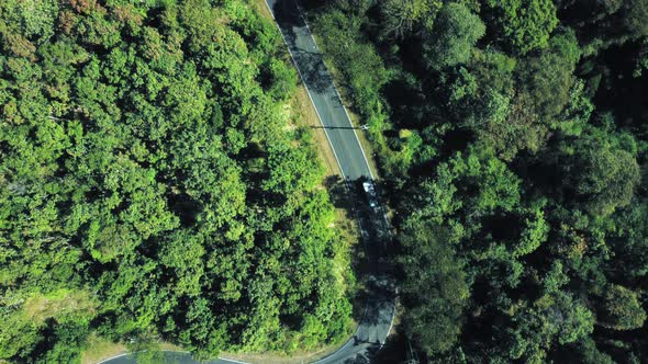 Establishing aerial top view shot of country side road passing through the green forest
