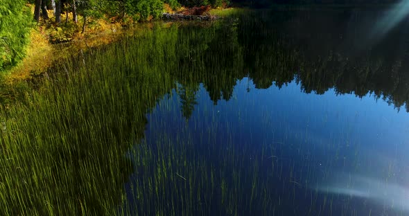 Beautiful Green Pond Aerial In Pacific Northwest Natural Area Landscape alt