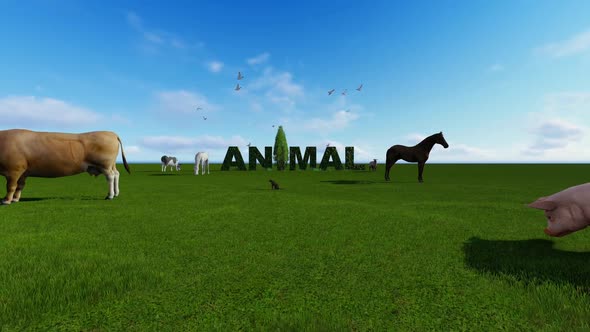 Animal Text On The Grass