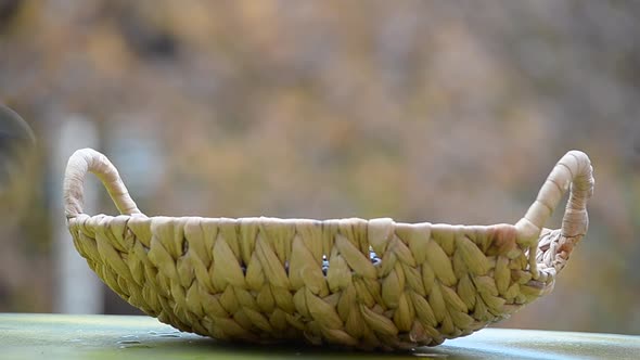 Autumn and the Birds of the Tit Flew Into the Feeder. Selective Focus alt