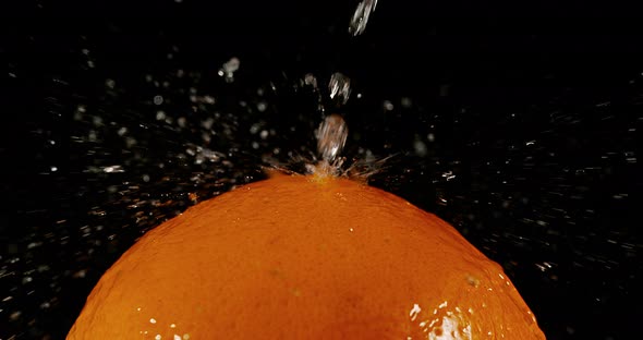 Water falling on Orange, citrus sinensis, against Black Background, Slow Motion 4K