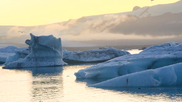 Icebergs and Seal Floating in Ice Lagoon Jokulsarlon Glacier Lagoon in Iceland alt
