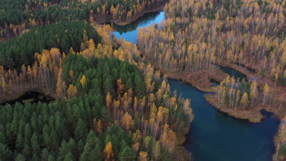 Aerial view of small lakes surrounded by autumn forest.