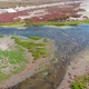 A lot of Birds on the Backwater pacific ocean coast (Coquimbo Chile) aerial view - VideoHive Item for Sale